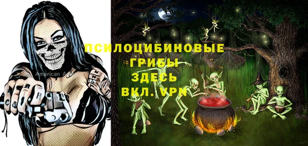 дмт Богородск