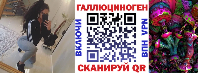 shop формула  Благодарный  Псилоцибиновые грибы GOLDEN TEACHER 